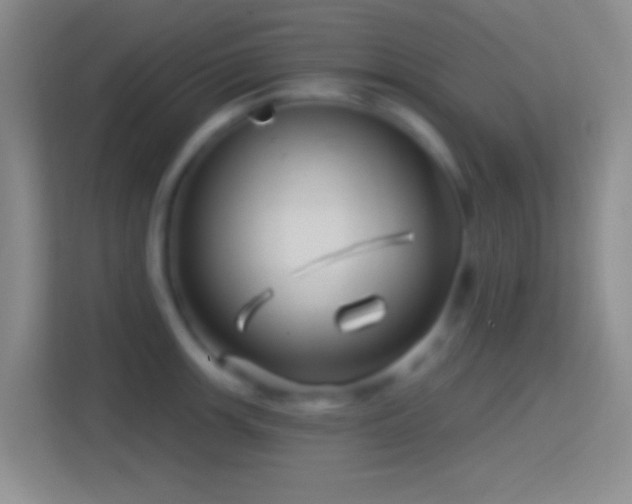 X0000114401139200910231104