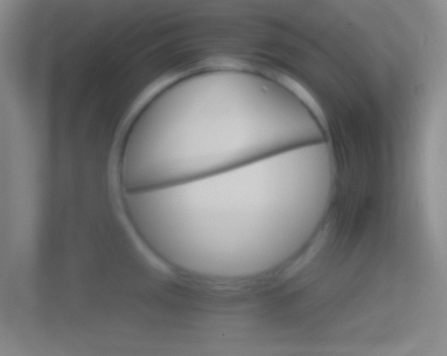 X0000114401141200910231104