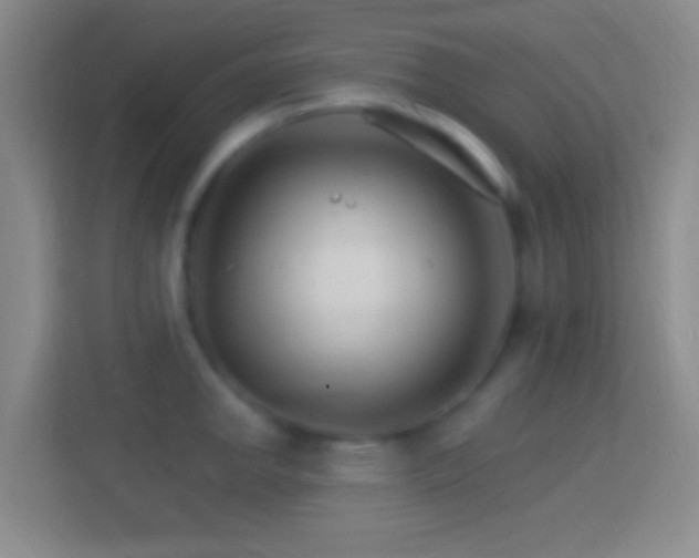 X0000114401142200910231104