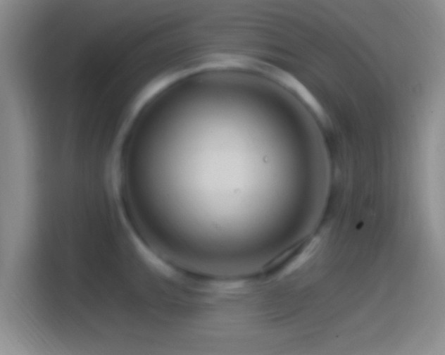 X0000114401143200910231104