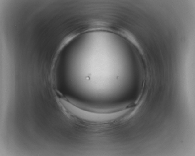 X0000114401145200910231104