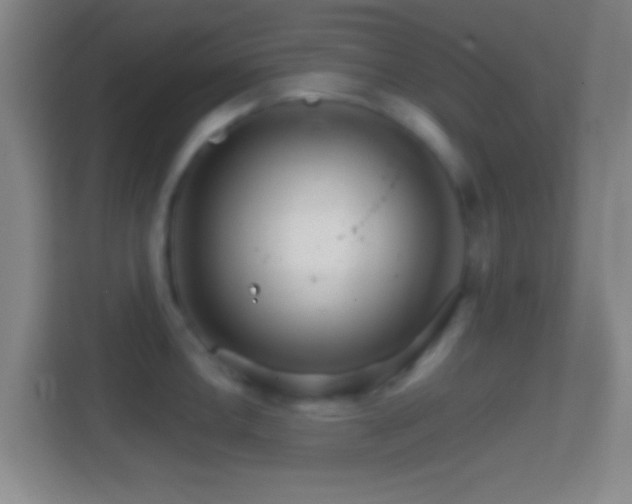 X0000114401146200910231104