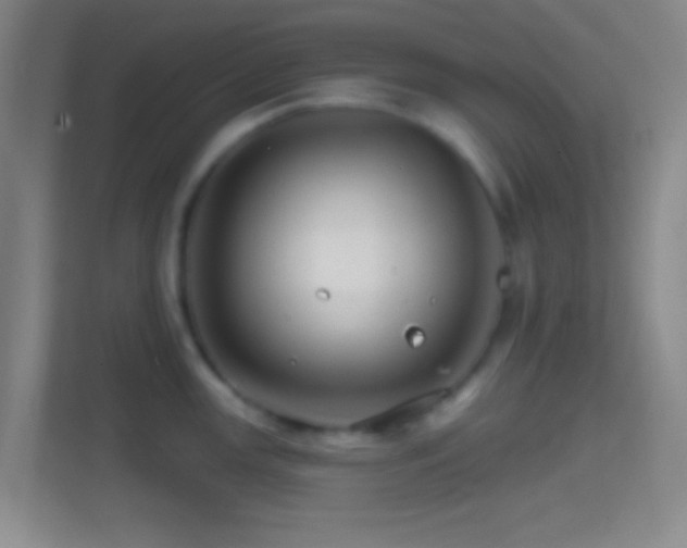 X0000114401147200910231104