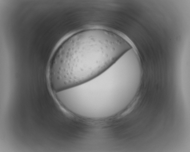 X0000114401149200910231104