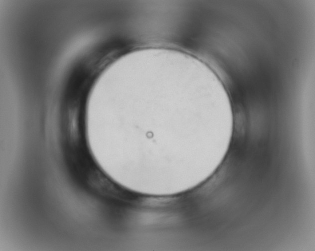 X0000114401150200910231104