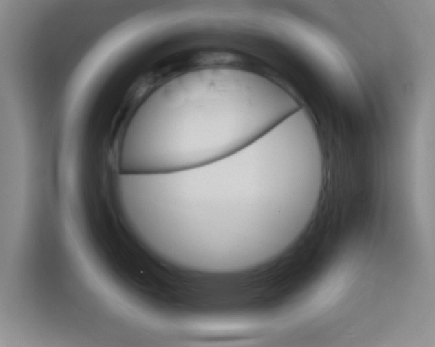 X0000114401151200910231104