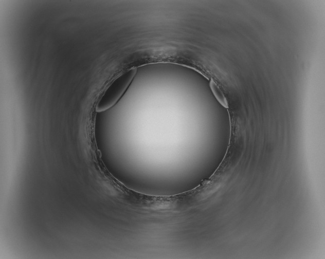 X0000114401153200910231104