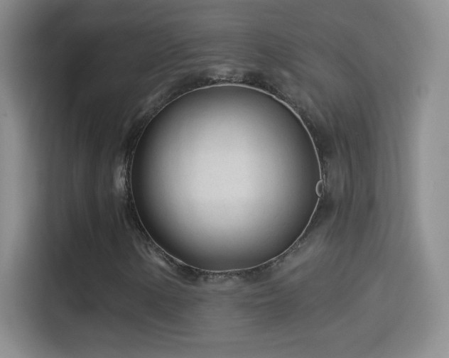 X0000114401154200910231104