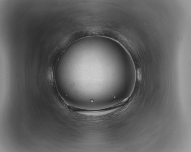 X0000114401155200910231104