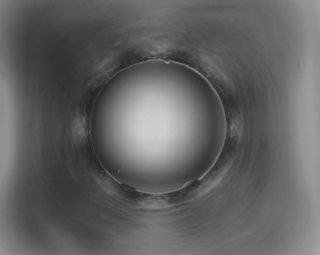 X0000114401156200910231104