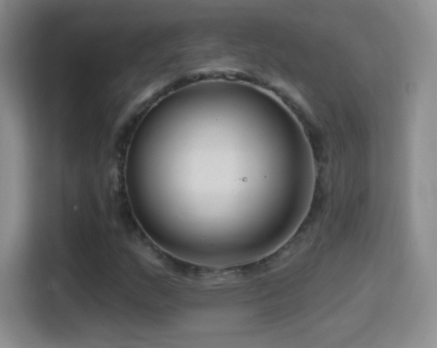 X0000114401159200910231104