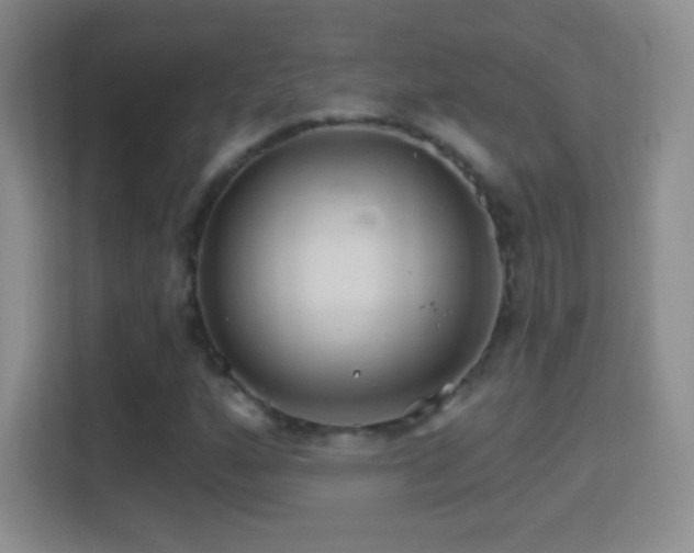 X0000114401160200910231104