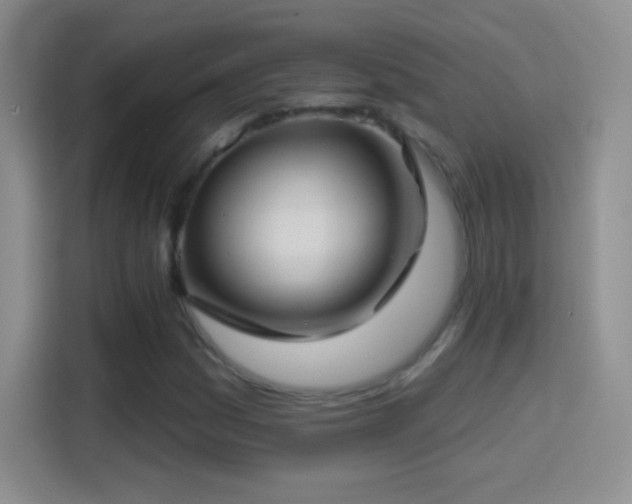 X0000114401161200910231104