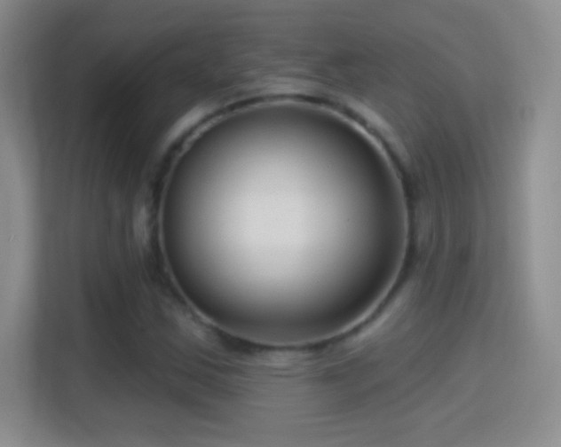 X0000114401163200910231104