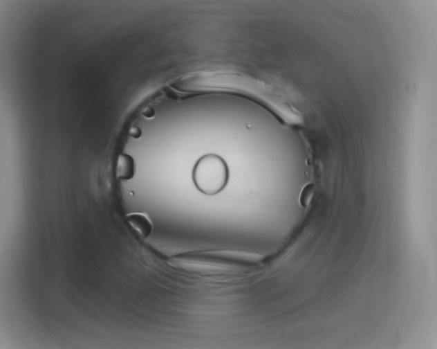 X0000114401165200910231104