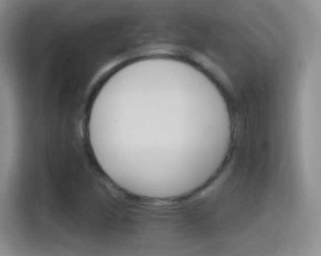 X0000114401166200910231104