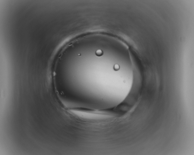 X0000114401167200910231103