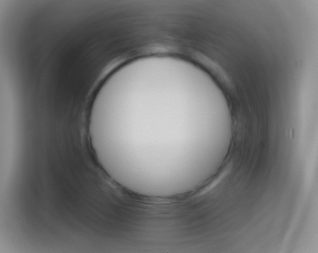 X0000114401170200910231103