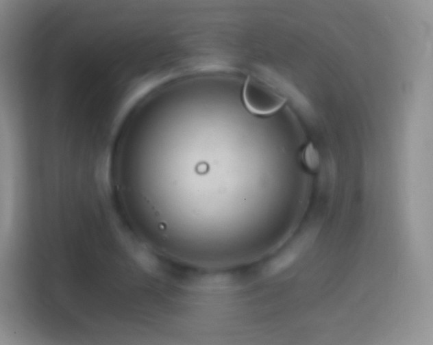 X0000114401174200910231103