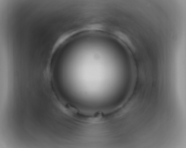 X0000114401176200910231103