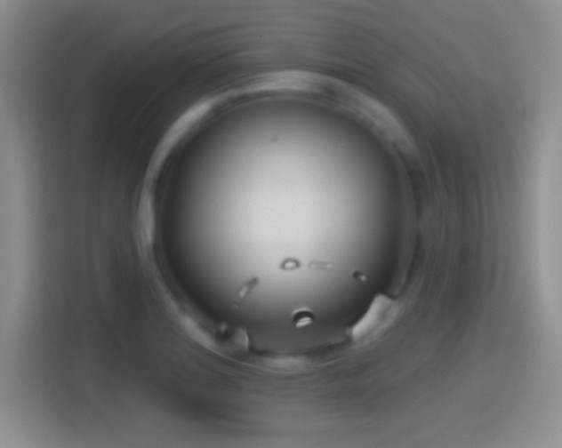 X0000114401180200910231103