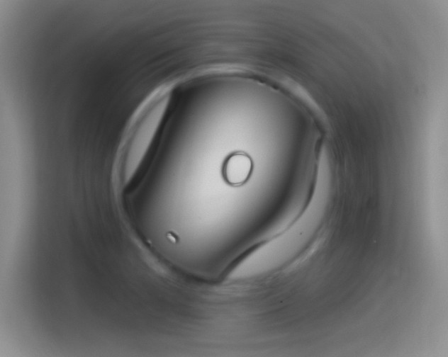 X0000114401181200910231103