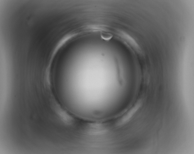 X0000114401182200910231103