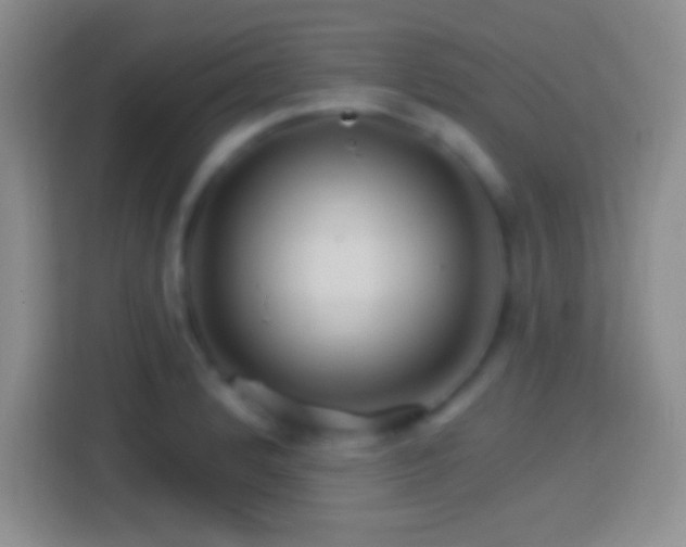 X0000114401184200910231103