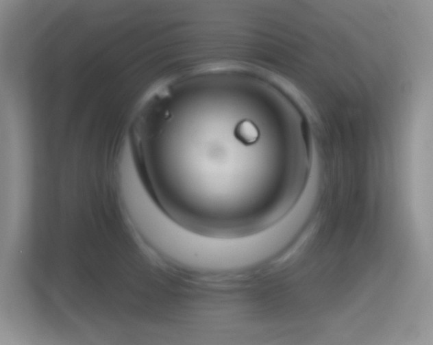 X0000114401185200910231103