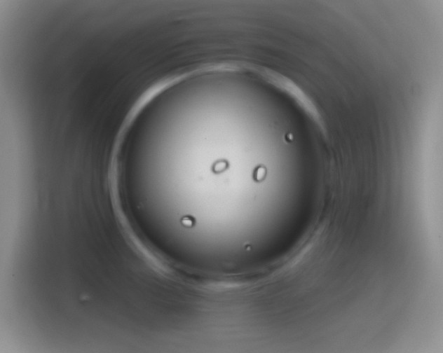 X0000114401187200910231103