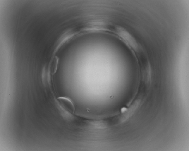 X0000114401189200910231103