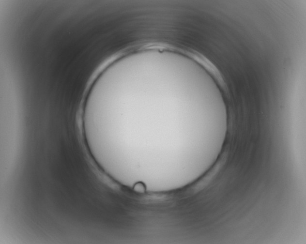 X0000114401190200910231103