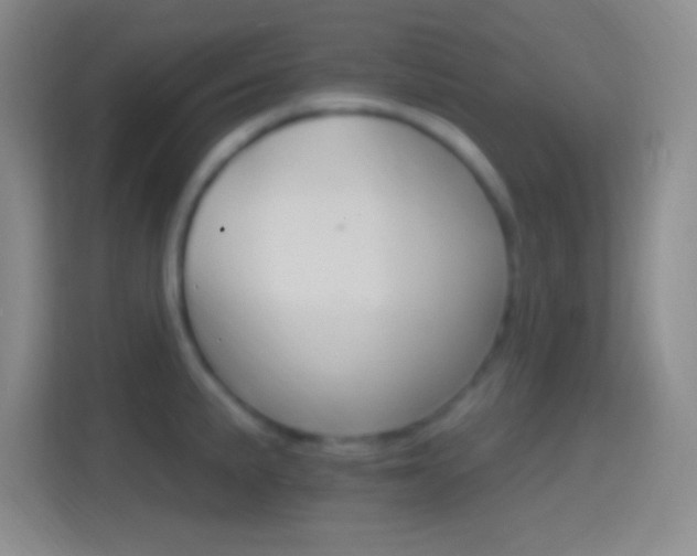 X0000114401191200910231103