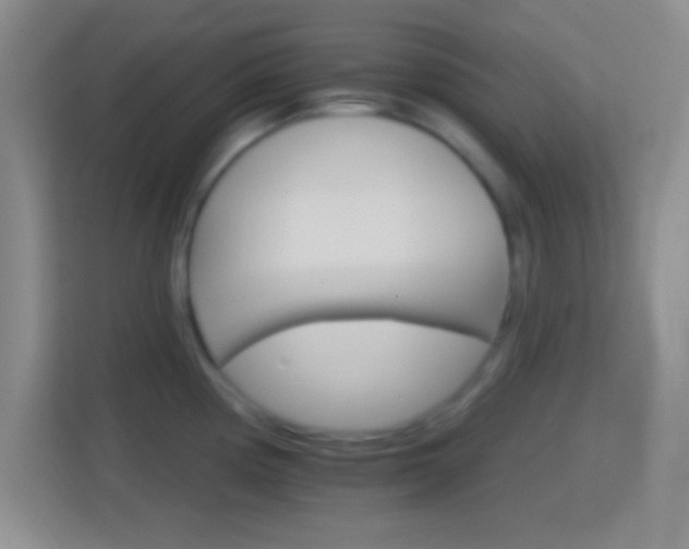 X0000114401194200910231103