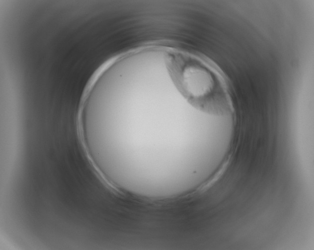 X0000114401196200910231103