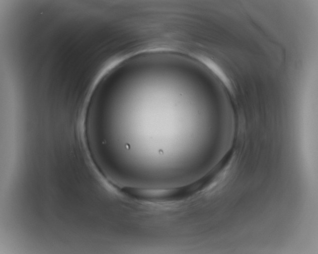 X0000114401197200910231103