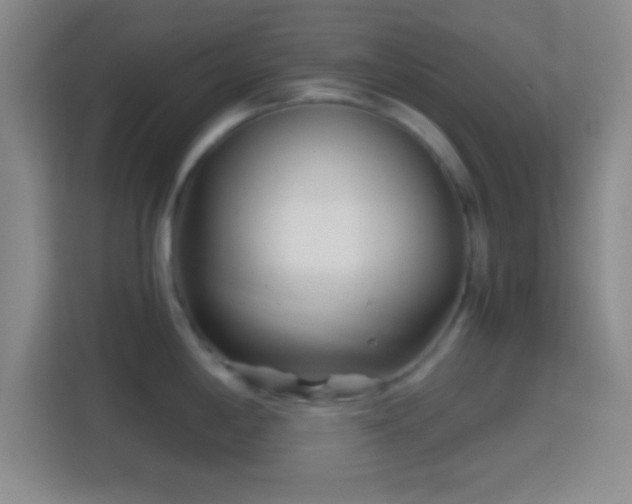 X0000114401198200910231103