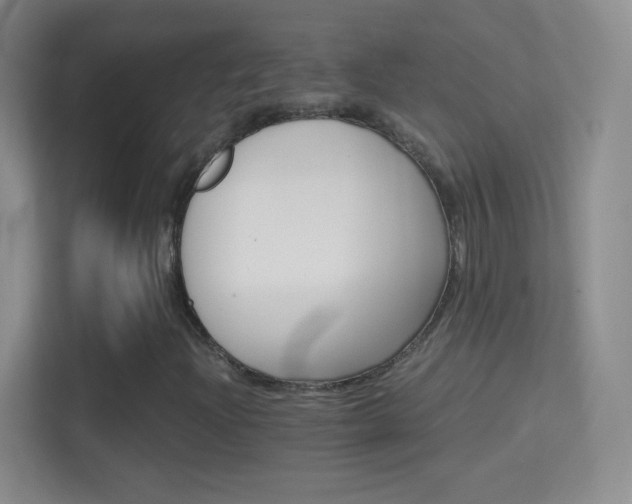 X0000114401204200910231102