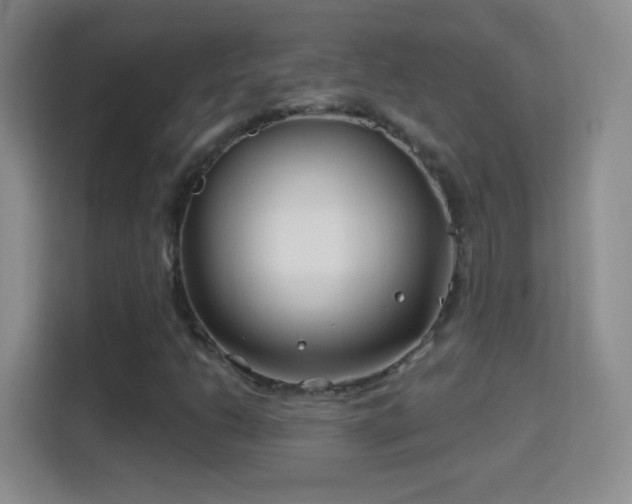 X0000114401206200910231103