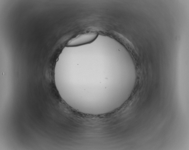 X0000114401207200910231103