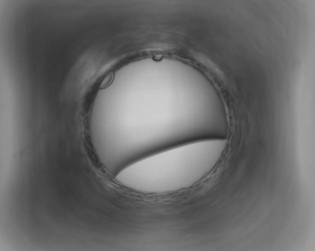 X0000114401208200910231103