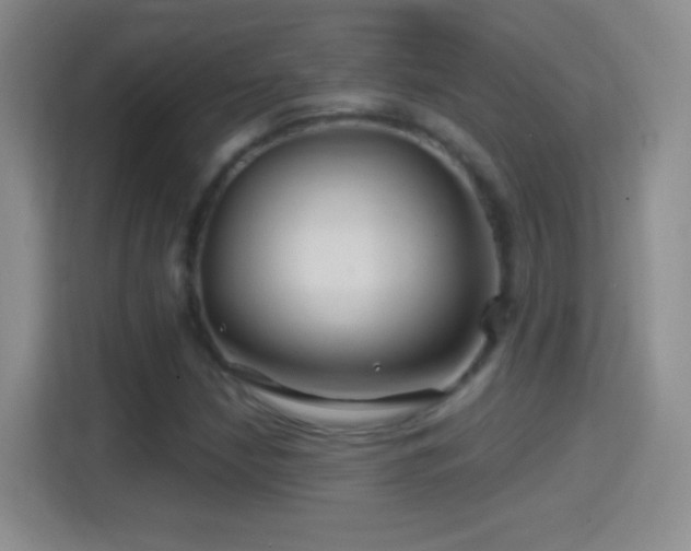 X0000114401210200910231103