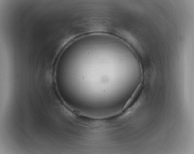 X0000114401212200910231103