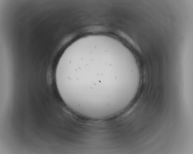 X0000114401213200910231103