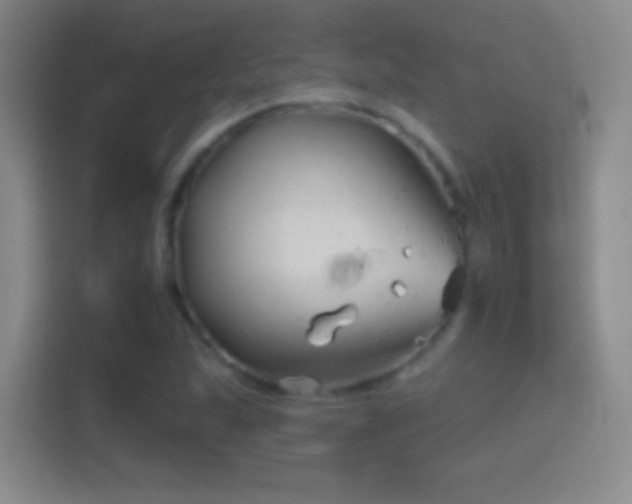 X0000114401215200910231103