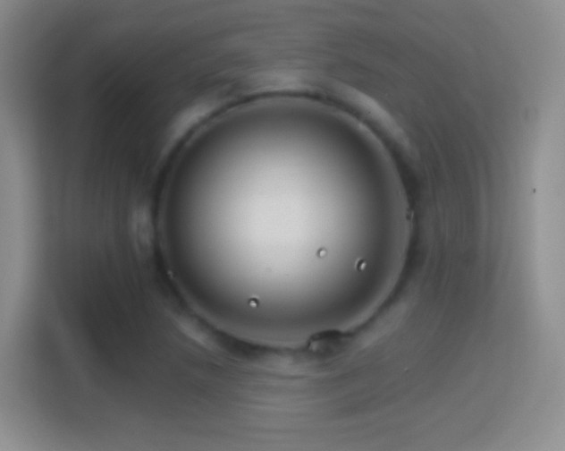 X0000114401218200910231103