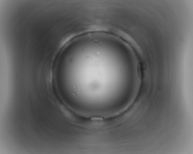 X0000114401220200910231103