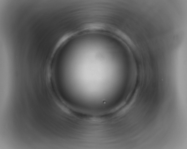 X0000114401226200910231103