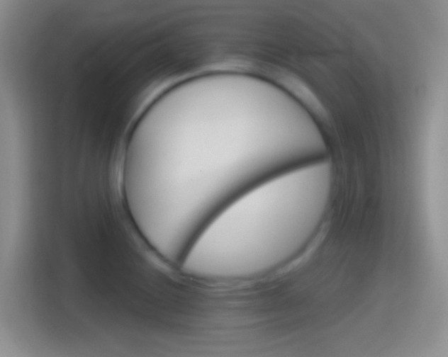 X0000114401228200910231103