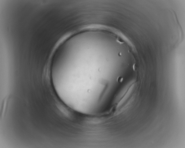 X0000114401229200910231103